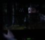 SPN_0448.jpg