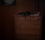 Filename=SPN_0855.jpg
Filesize=40KiB
Dimensions=1280x718
Date added=Sep 30, 2021 SPN_0855.jpg