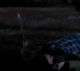 Filename=SPN_0868.jpg
Filesize=36KiB
Dimensions=1280x718
Date added=Sep 30, 2021 SPN_0868.jpg