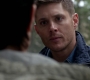Filename=SPN_0915.jpg
Filesize=48KiB
Dimensions=1280x718
Date added=Sep 30, 2021 SPN_0915.jpg