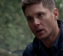 Filename=SPN_0917.jpg
Filesize=54KiB
Dimensions=1280x718
Date added=Sep 30, 2021 SPN_0917.jpg