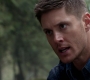 Filename=SPN_0918.jpg
Filesize=59KiB
Dimensions=1280x718
Date added=Sep 30, 2021 SPN_0918.jpg