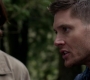 Filename=SPN_0932.jpg
Filesize=60KiB
Dimensions=1280x718
Date added=Sep 30, 2021 SPN_0932.jpg
