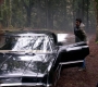 Filename=SPN_0952.jpg
Filesize=124KiB
Dimensions=1280x718
Date added=Sep 30, 2021 SPN_0952.jpg