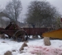 SPN_1048.jpg