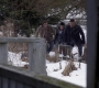SPN_1049.jpg