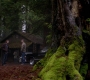 SPN_1484.jpg