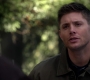 SPN_1494.jpg