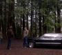 Filename=SPN_1507.jpg
Filesize=160KiB
Dimensions=1280x718
Date added=Sep 30, 2021 SPN_1507.jpg