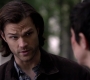 Filename=SPN_1512.jpg
Filesize=48KiB
Dimensions=1280x718
Date added=Sep 30, 2021 SPN_1512.jpg