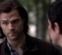 Filename=SPN_1513.jpg
Filesize=49KiB
Dimensions=1280x718
Date added=Sep 30, 2021 SPN_1513.jpg