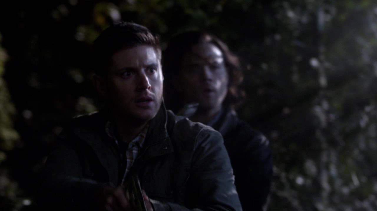 SPN_1131.jpg