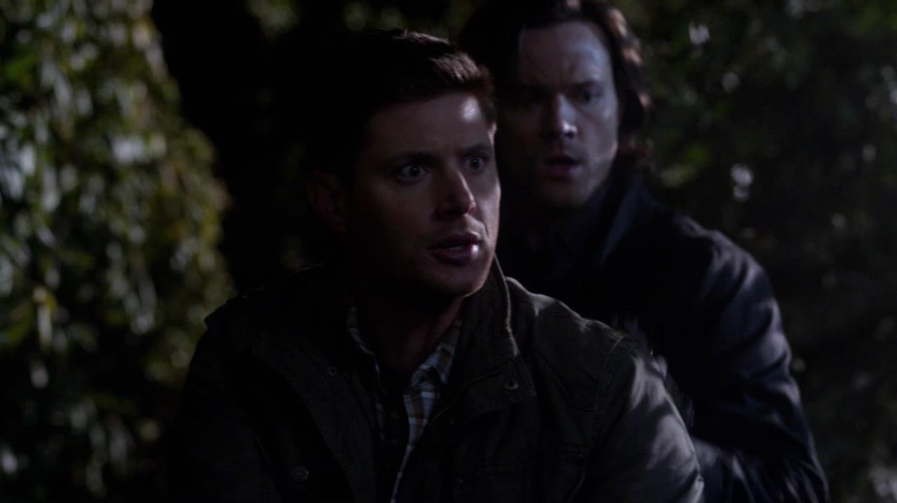 SPN_1133.jpg