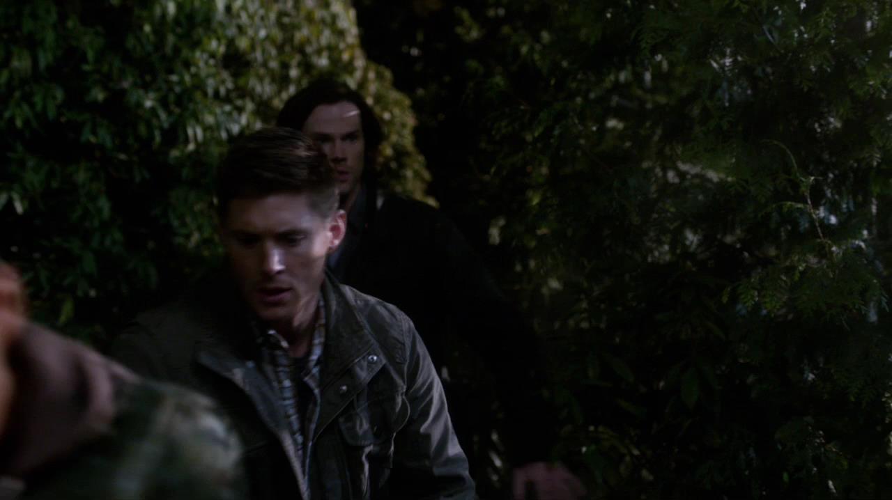 SPN_1146.jpg