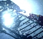 Filename=SPN_0662.jpg
Filesize=92KiB
Dimensions=1280x718
Date added=Sep 30, 2021 SPN_0662.jpg
