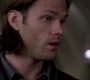 Filename=SPN_0758.jpg
Filesize=44KiB
Dimensions=1280x718
Date added=Sep 30, 2021 SPN_0758.jpg