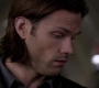 Filename=SPN_0759.jpg
Filesize=45KiB
Dimensions=1280x718
Date added=Sep 30, 2021 SPN_0759.jpg