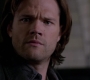 Filename=SPN_0808.jpg
Filesize=40KiB
Dimensions=1280x718
Date added=Sep 30, 2021 SPN_0808.jpg