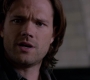Filename=SPN_0813.jpg
Filesize=39KiB
Dimensions=1280x718
Date added=Sep 30, 2021 SPN_0813.jpg