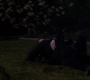 SPN_1102.jpg