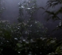 SPN_1124.jpg