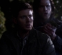 SPN_1132.jpg