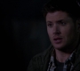 SPN_1166.jpg