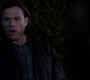 SPN_1200.jpg