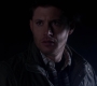 SPN_1379.jpg
