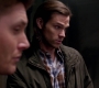 SPN_0513.jpg