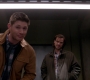 SPN_0531.jpg
