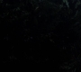 SPN_0960.jpg