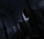 SPN_0997.jpg