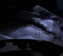 SPN_1026.jpg