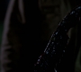 SPN_1048.jpg