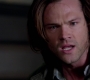 SPN_1378.jpg