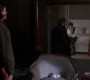 SPN_1483.jpg
