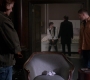 SPN_1486.jpg