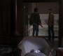 SPN_1493.jpg
