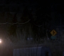 SPN_1539.jpg
