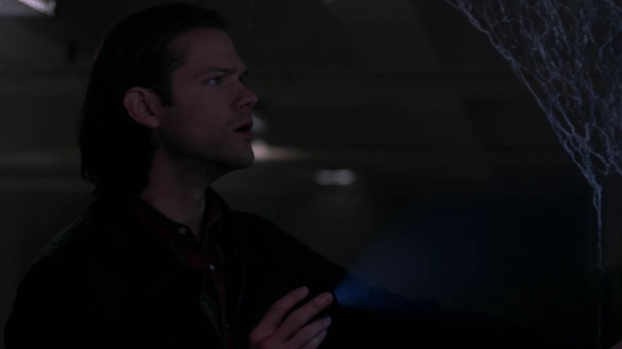 SPN_1011.jpg