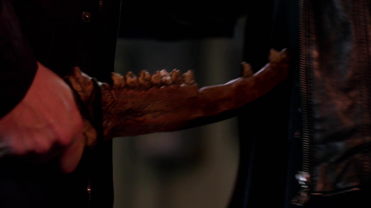 SPN_1263.jpg