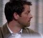 SPN_0425.jpg