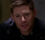 SPN_0677.jpg