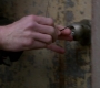 SPN_0740.jpg