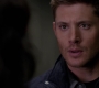 SPN_1077.jpg