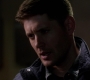 SPN_1204.jpg