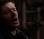 SPN_1310.jpg