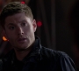 SPN_1460.jpg