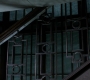 SPN_1585.jpg